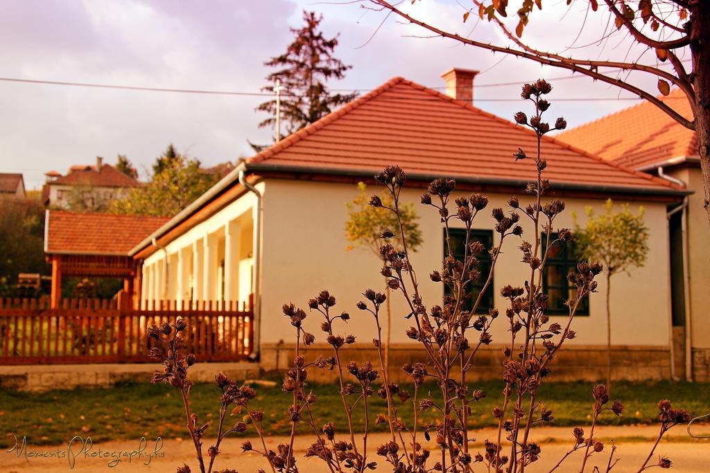 Barta Pince Vendégház Mád Extérieur photo